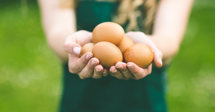 Trust-based Leadership is a bit like carrying eggs